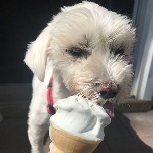 Meet your Posher, Kali